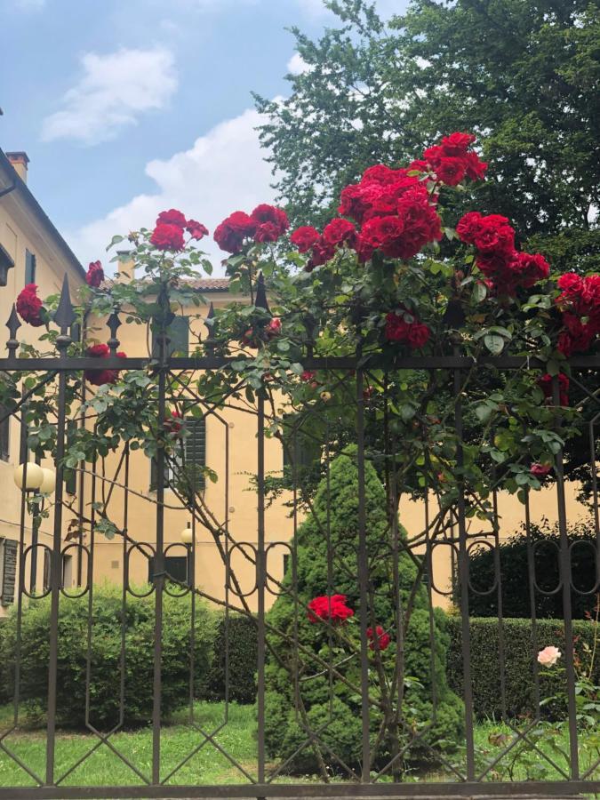 Catoo Dimora Di Design Park In Palazzo Nobiliare Al Duomo Daire Padova Dış mekan fotoğraf